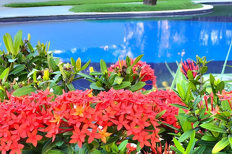 Nui, Casa Piscina e Praia by Temporada Inn