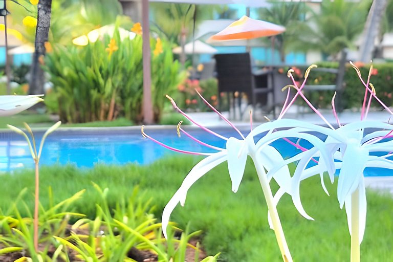 Nui Residence - Super Luxo - Ap 301 by Temp Inn